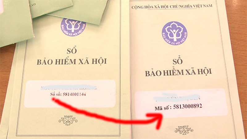 Hàng loạt chính sách nổi bật có hiệu lực từ tháng 9/2021 - 2