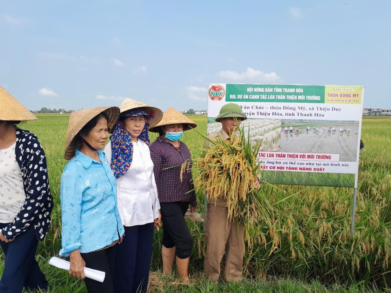 Mô hình lúa thân thiện môi trường của gia đình Ông: Lê Văn Chúc, nông dân xã Thiệu Duy