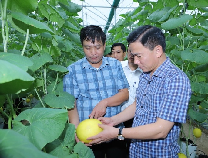 Bí thư Tỉnh ủy Thanh Hóa - Đỗ Trọng Hưng đến thăm khu sản xuất nông nghiệp công nghệ cao thị trấn Thiệu Hóa.