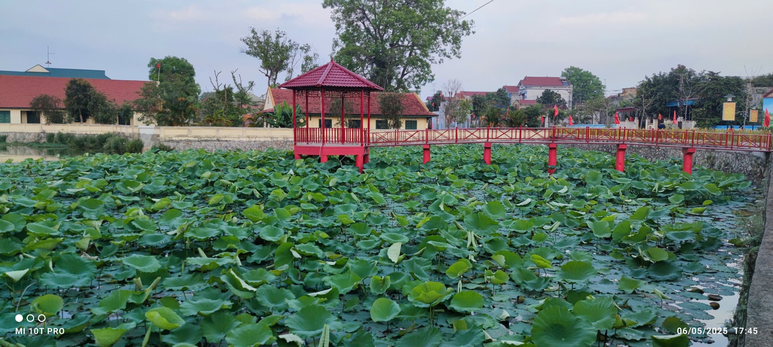 Ao Sen thuộc quần thể khu di tích cách mạng thời kỳ 1967 – 1973